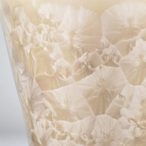 生涯を添い遂げるマグ 京焼 花結晶ベージュ BROTO PROJECT（ブロットプロジェクト）