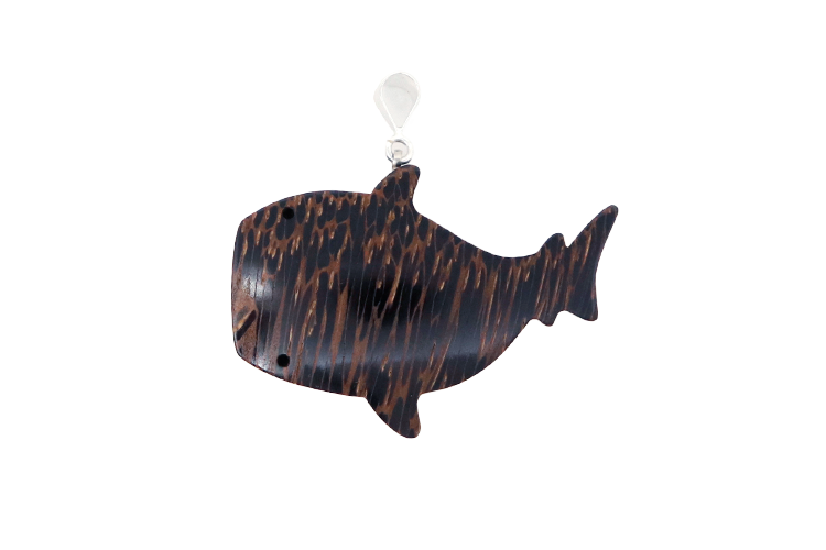 ジンベエザメさん